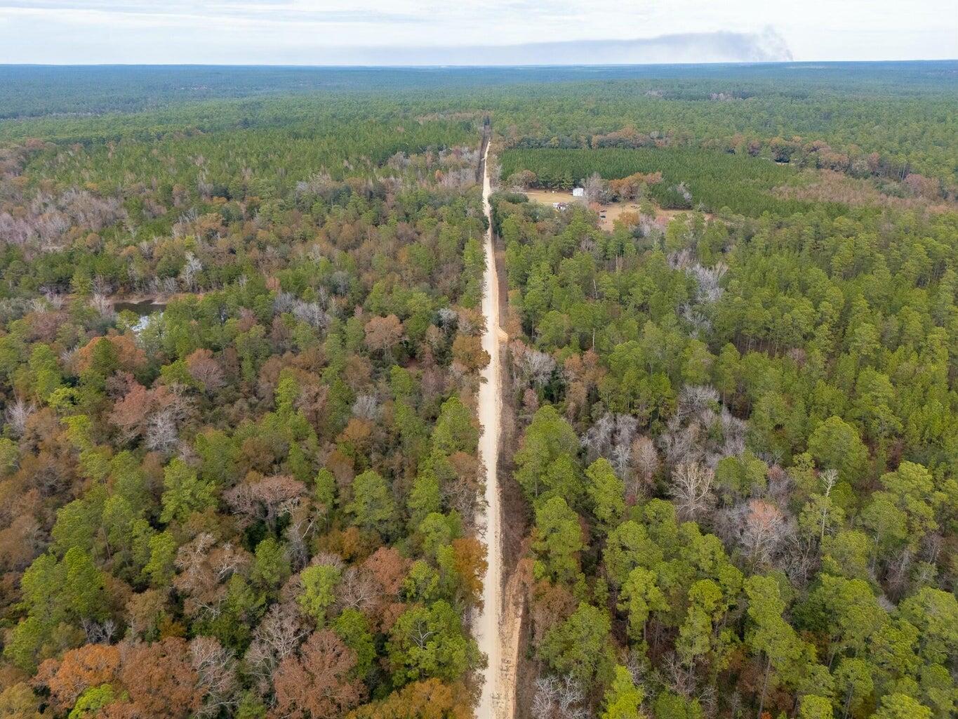 0 North Sherman Kennedy Road Baker, FL 32531 - Photo 4 of 7 a view of a city with lush green forest