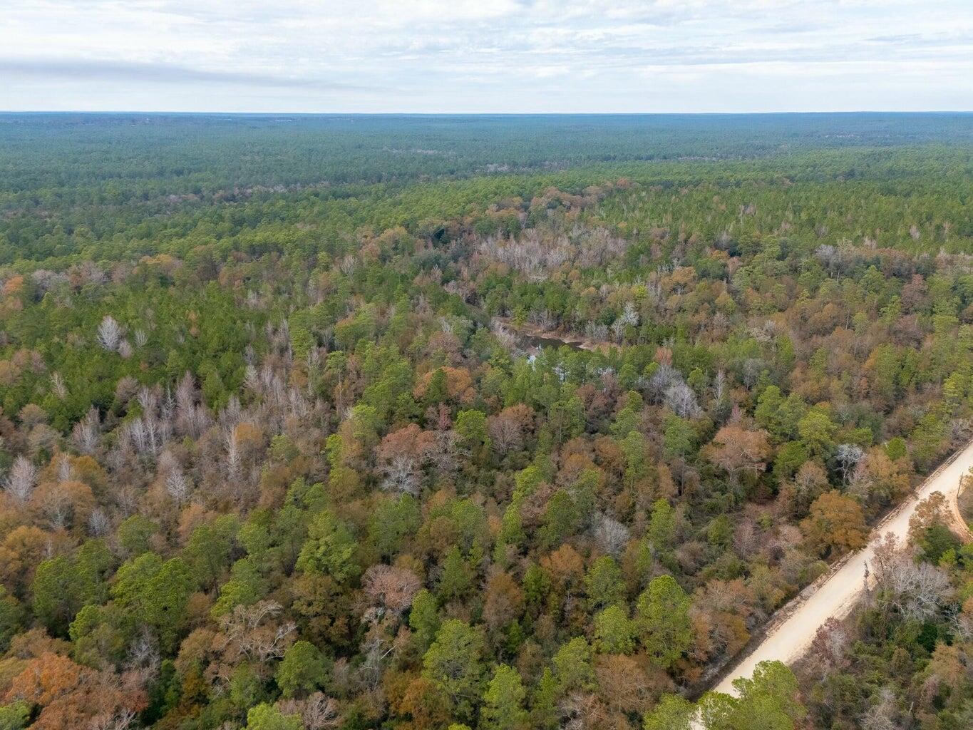 0 North Sherman Kennedy Road Baker, FL 32531 - Photo 5 of 7 a view of a field with an ocean and trees