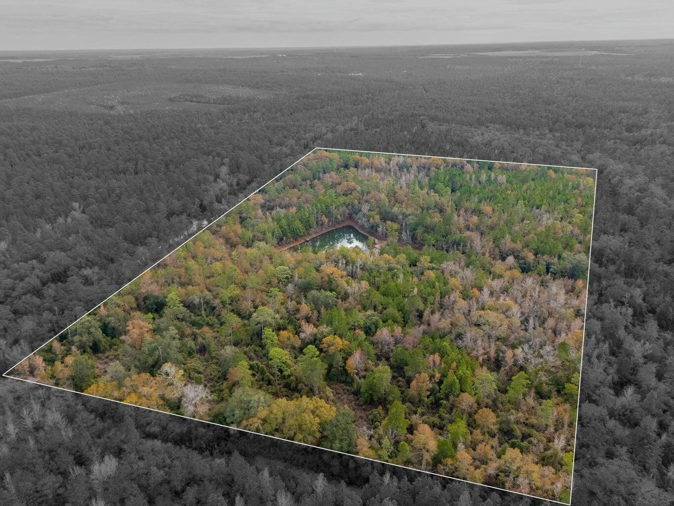 0 North Sherman Kennedy Road Baker, FL 32531 - Photo 7 of 7 a view of a dry yard with wooden fence