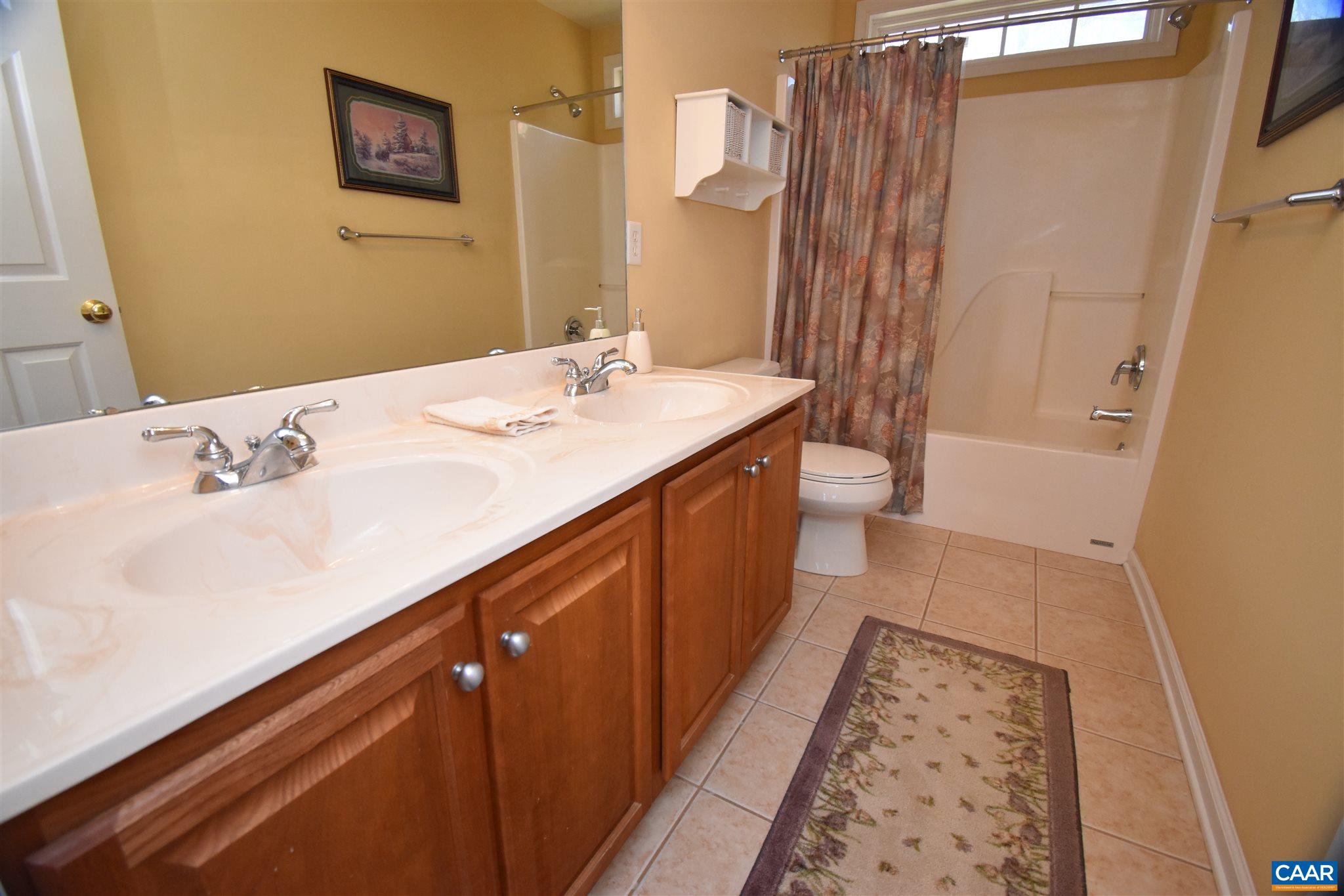 285 March Road Stanardsville, VA 22973 - Photo 29 of 75 a bathroom with a sink a toilet a mirror and shower