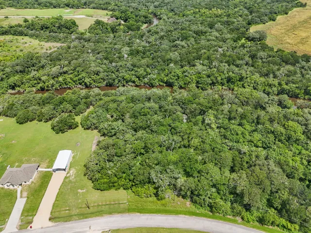 a view of a yard with plants