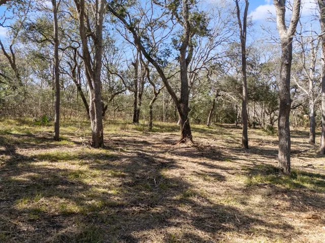 a view of empty space with trees