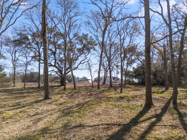 a view of road with trees
