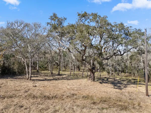 a view of outdoor space with trees