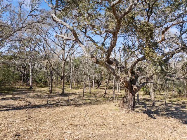a view of covered with snow