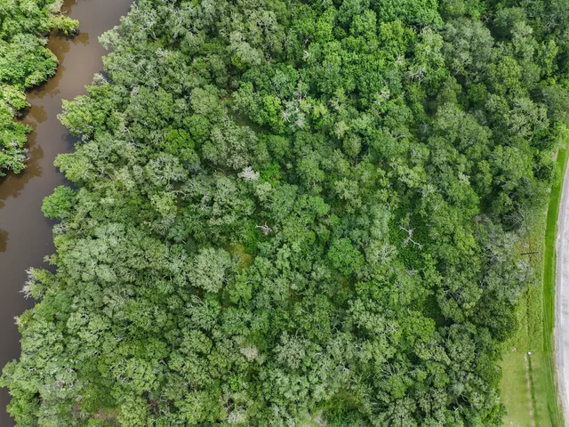 a view of an ocean and beach