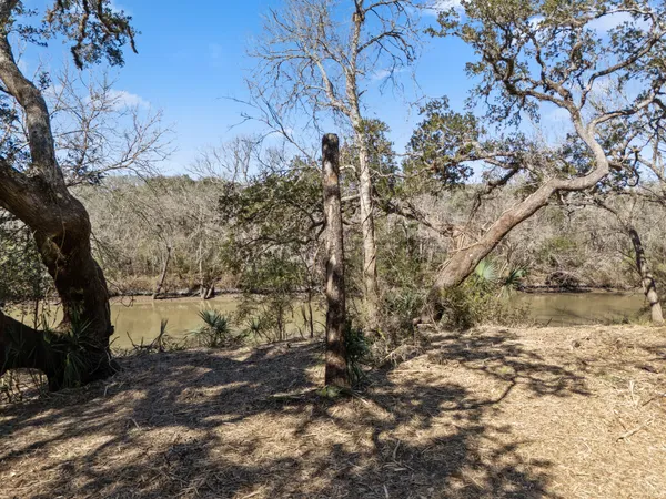 a view of a dry yard