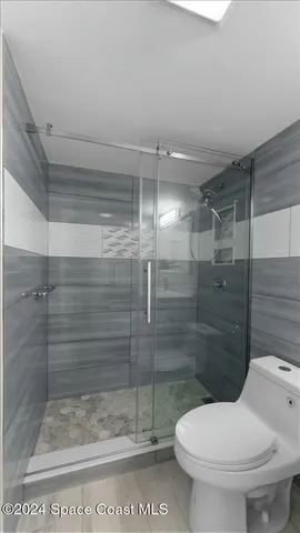 a bathroom with a shower and a toilet