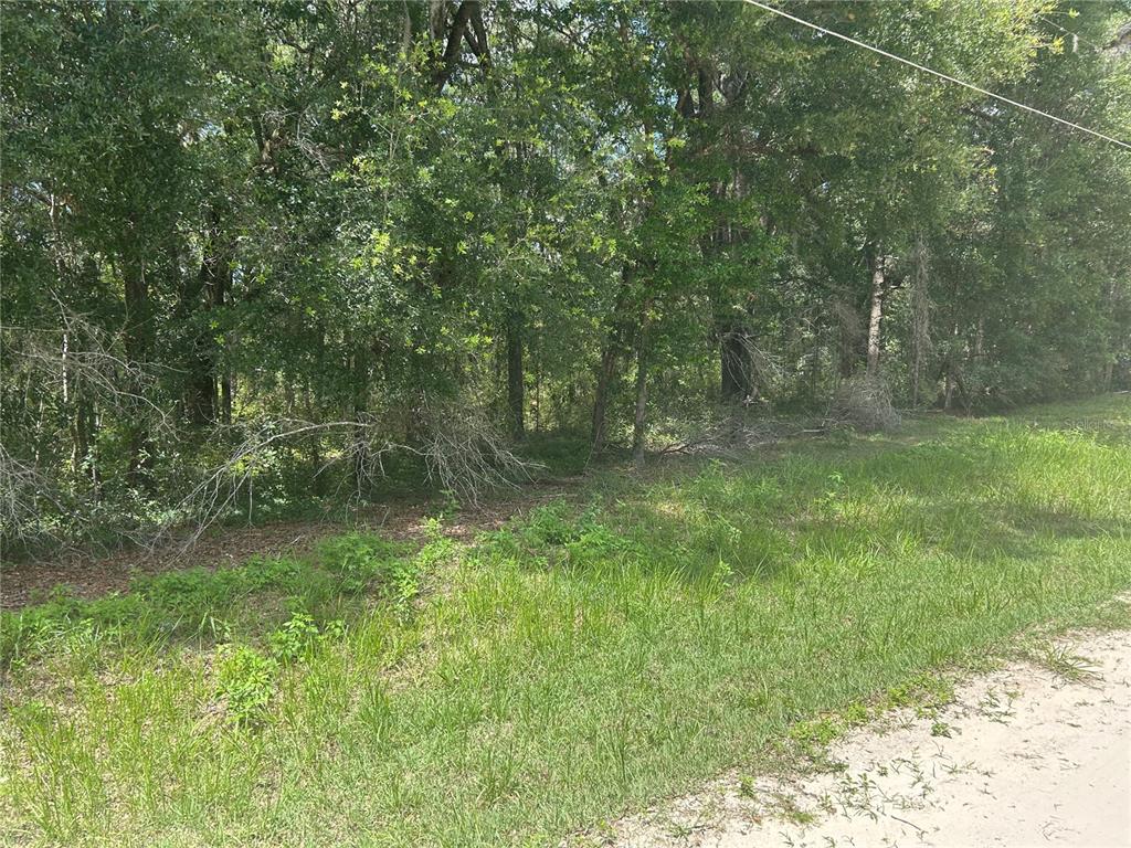 111 Southwest Sw Lane Dunnellon, FL 34432 - Photo 4 of 6
