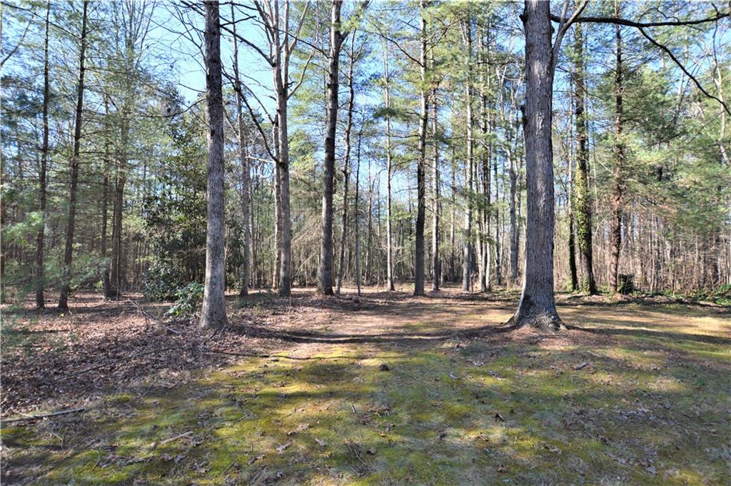 129 Spring Street Hudson, NC 28638 - Photo 5 of 40 Gallery Image 5