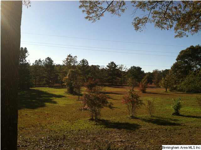 90 County Road 195 Clanton, AL 35046 - Photo 4 of 16