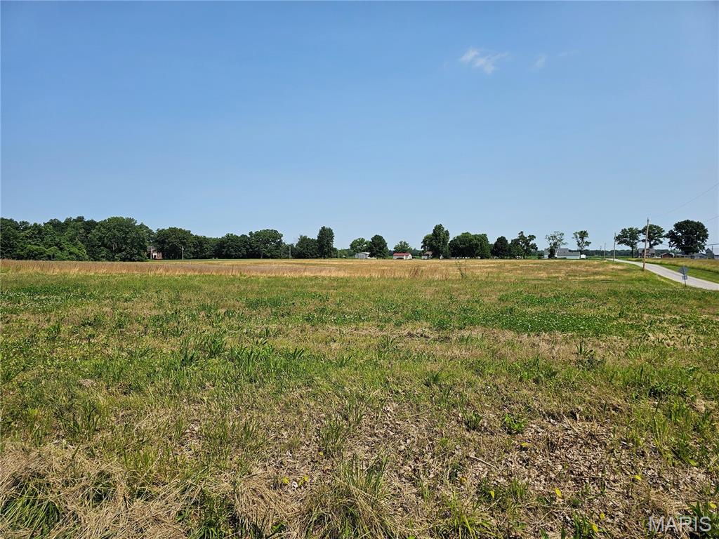 0 Welling Lane Alton, IL 62002 - Photo 2 of 4