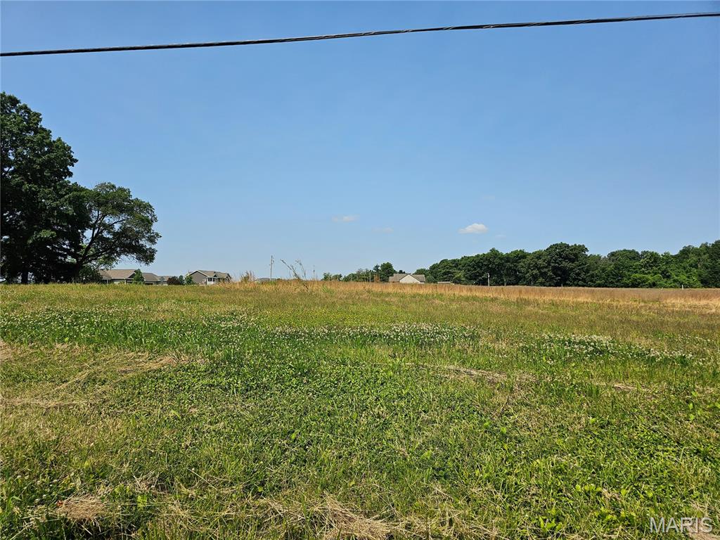 0 Welling Lane Alton, IL 62002 - Photo 3 of 4