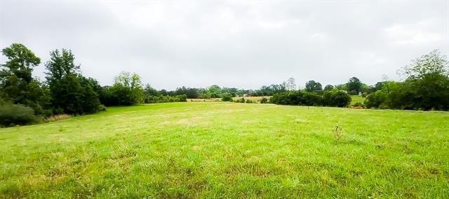 0 John Jones Road Franklinton, LA 70438 - Photo 1 of 5 Gallery Image 1