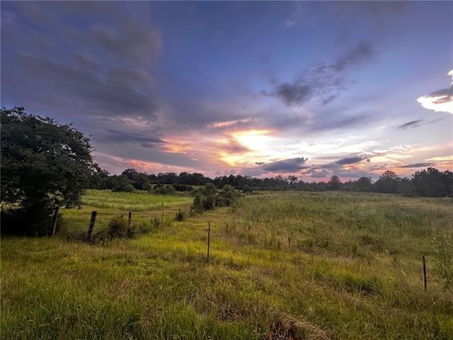 0 John Jones Road Franklinton, LA 70438 - Photo 5 of 5 Gallery Image 5