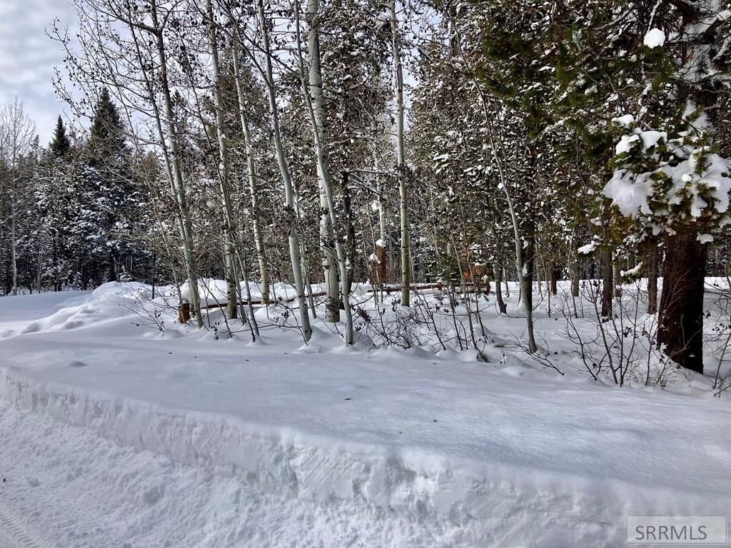 Tbd Tbd Annies Landing Ashton, ID 83420 - Photo 12 of 40