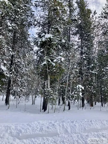 $120,000 | Tbd Tbd Annies Landing, Ashton, ID 83420