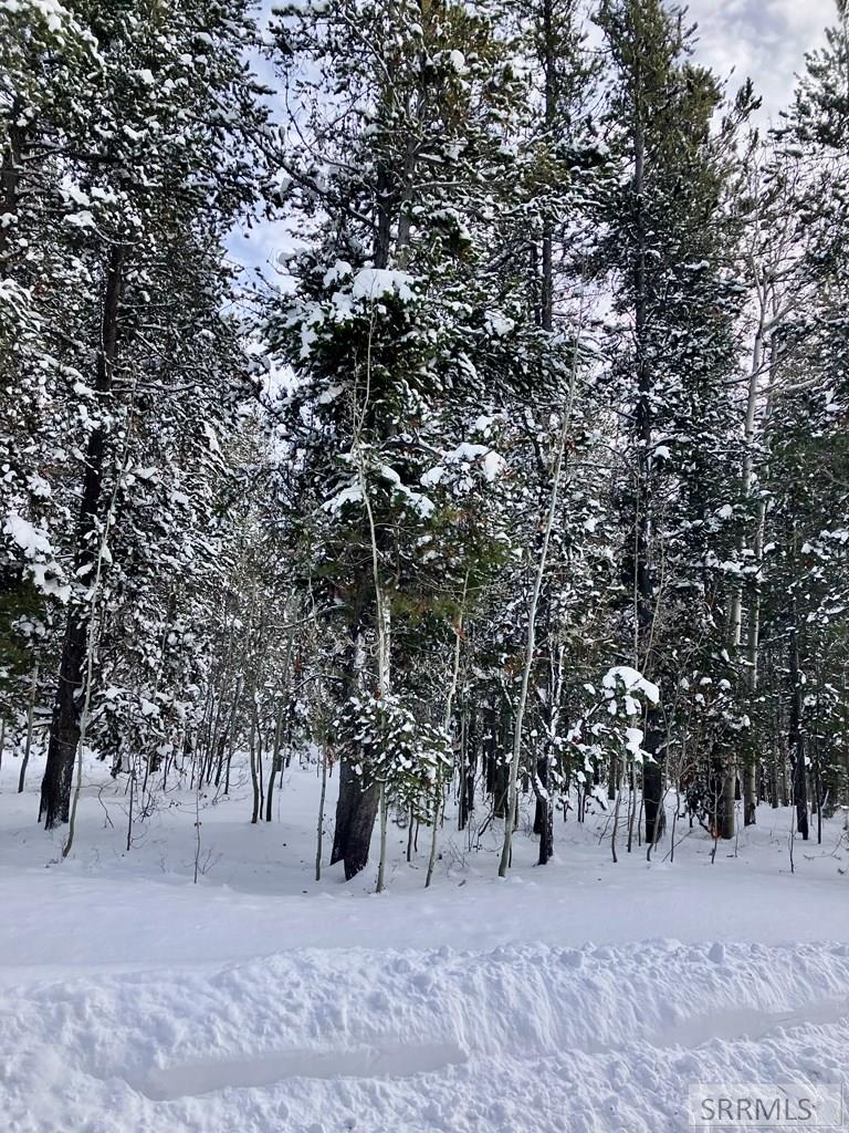 Tbd Tbd Annies Landing Ashton, ID 83420 - Photo 17 of 40