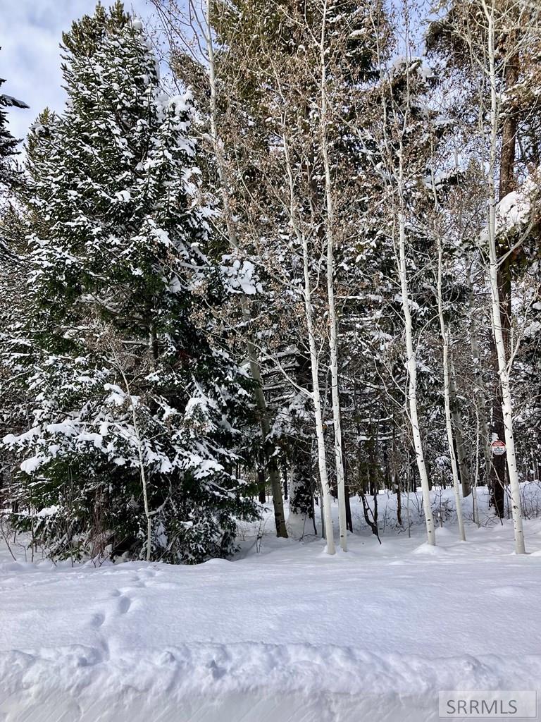 Tbd Tbd Annies Landing Ashton, ID 83420 - Photo 18 of 40