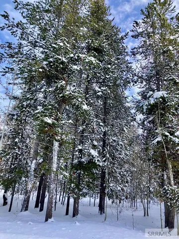 $120,000 | Tbd Tbd Annies Landing, Ashton, ID 83420