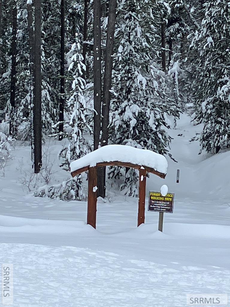 Tbd Tbd Annies Landing Ashton, ID 83420 - Photo 29 of 40