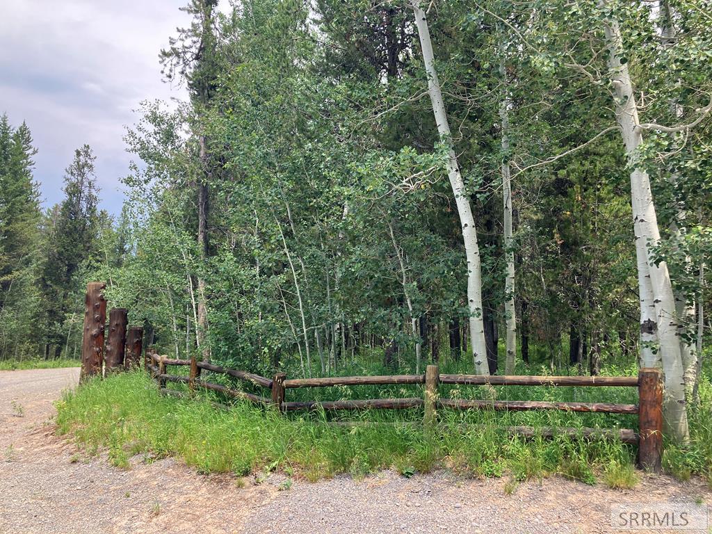 Tbd Tbd Annies Landing Ashton, ID 83420 - Photo 3 of 40
