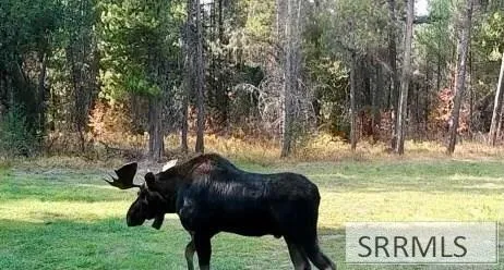 $120,000 | Tbd Tbd Annies Landing, Ashton, ID 83420