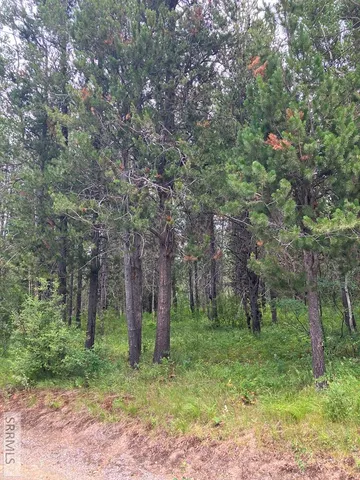 $120,000 | Tbd Tbd Annies Landing, Ashton, ID 83420