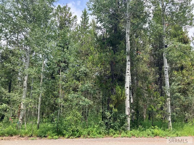 $120,000 | Tbd Tbd Annies Landing, Ashton, ID 83420