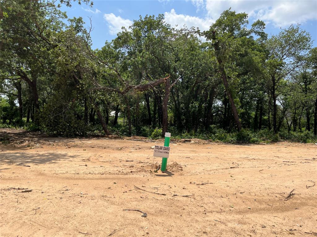 a street view yard with trees