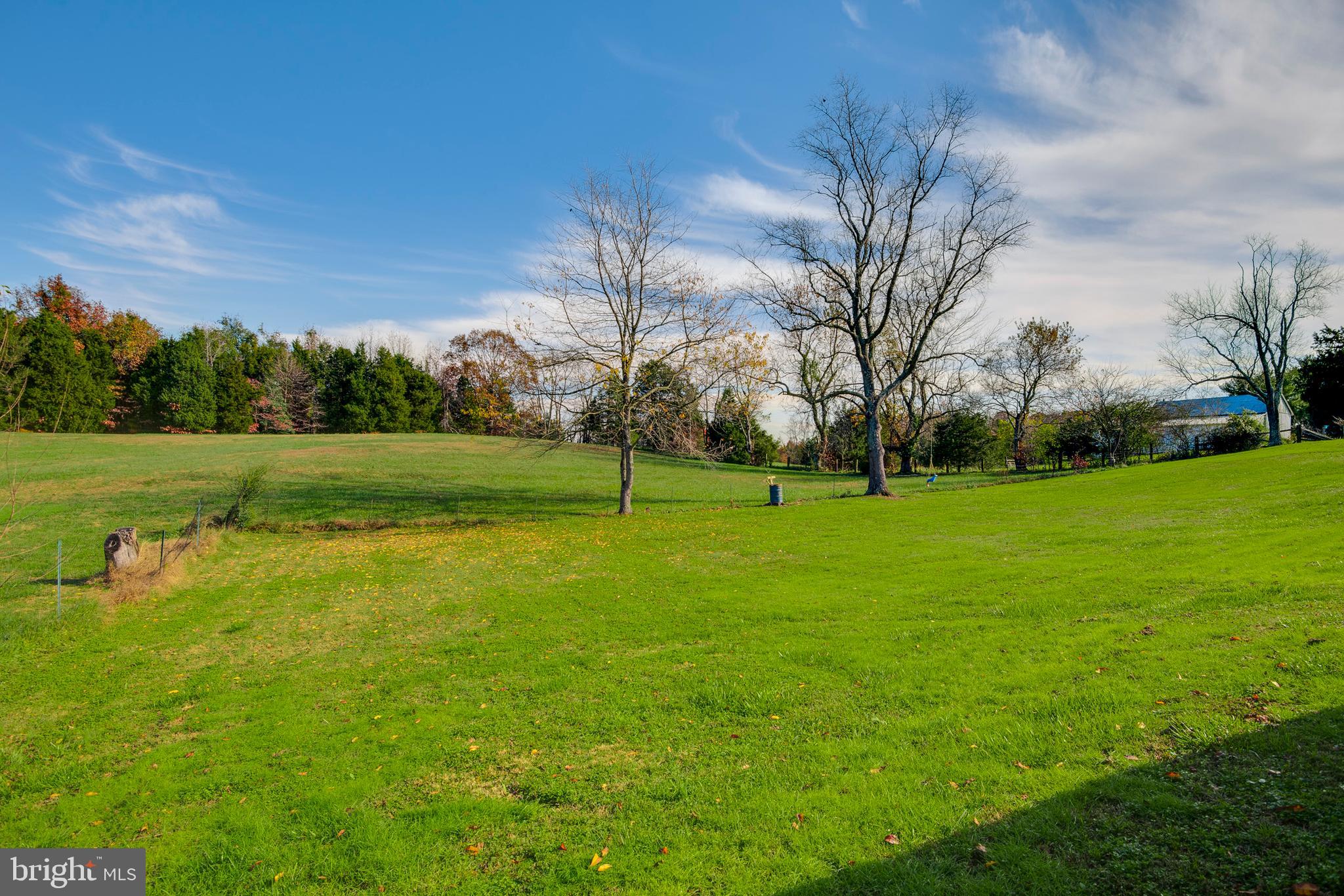 5250 Bicknell Road Marbury, MD 20658 - Photo 4 of 45 Yard