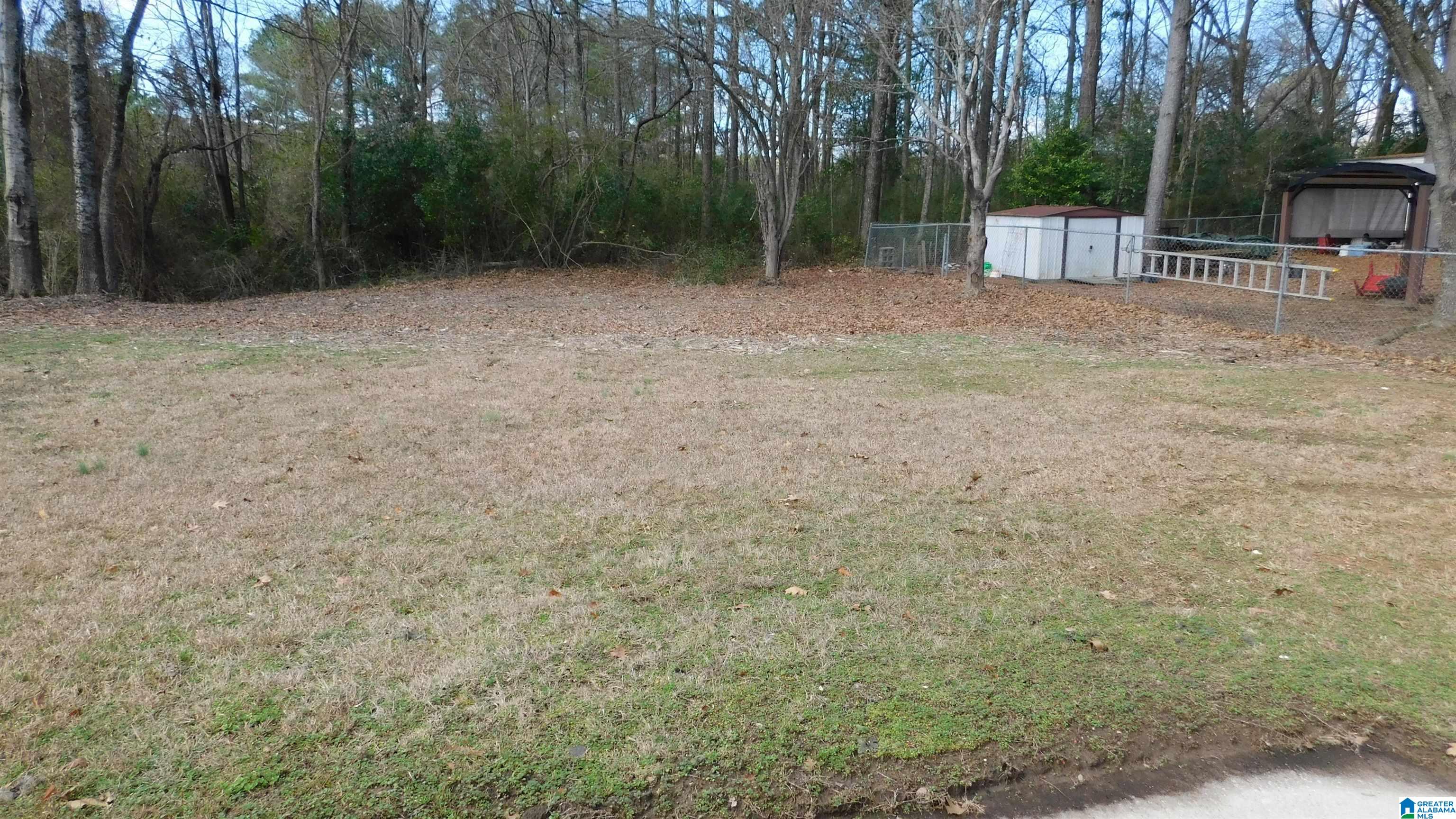 128 Bluegrass Drive Alabaster, AL 35007 - Photo 23 of 24