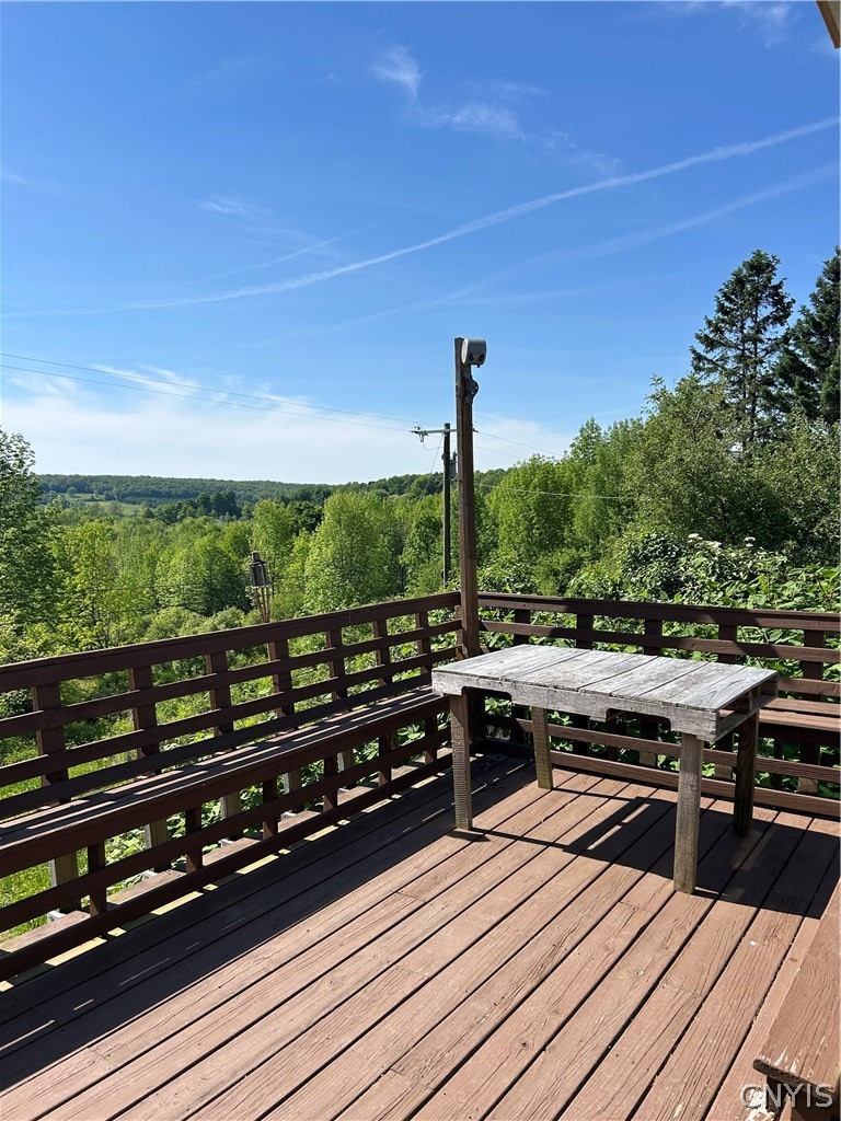 4729 Syrian Hill Road Solon, NY 13101 - Photo 35 of 46