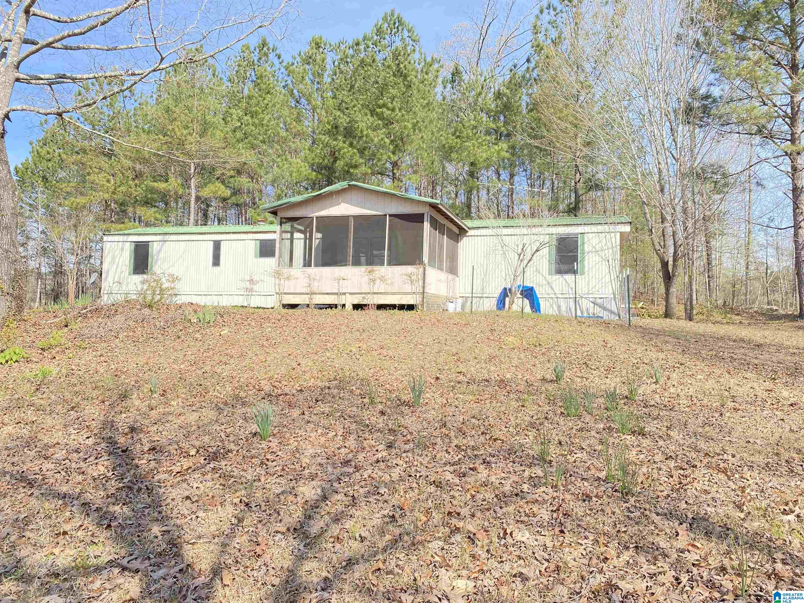 215 Journeys End Road Ashville, AL 35953 - Photo 2 of 37
