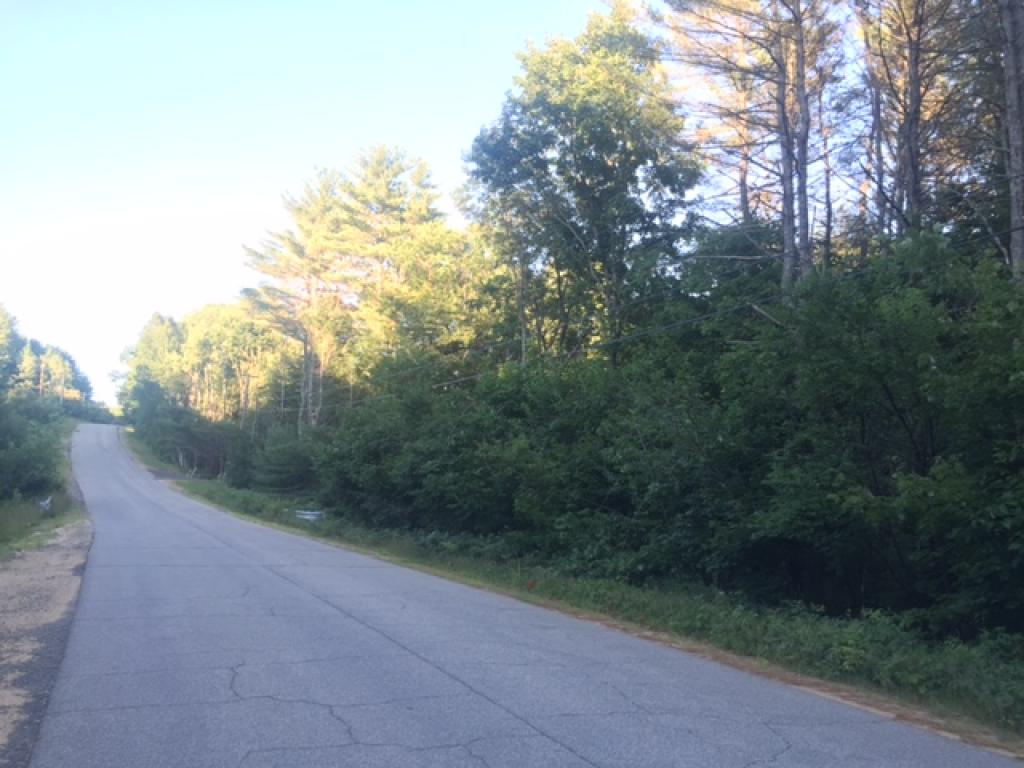 Lot 23 Straits Road New Hampton, NH 03256 - Photo 6 of 13