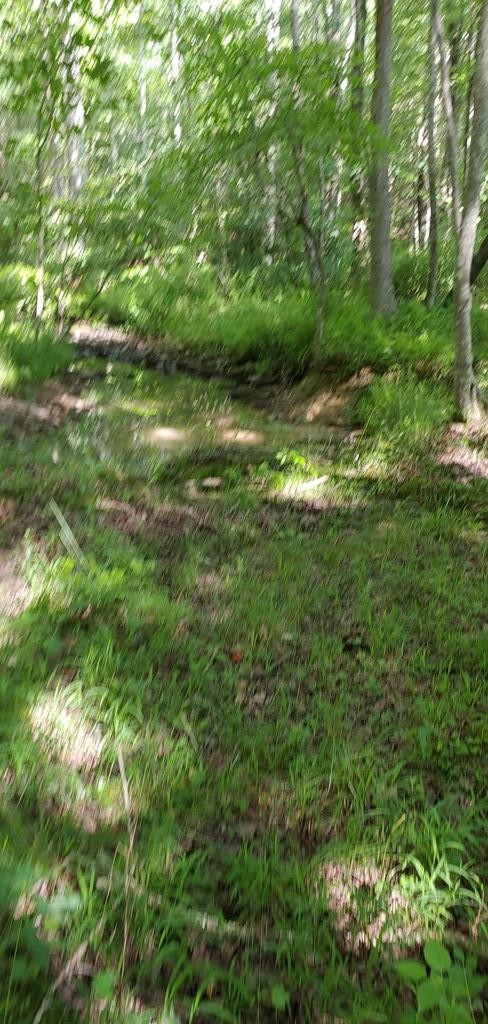 1030 Big Neck Road Grandview, TN 37337 - Photo 29 of 54 Gallery Image 29