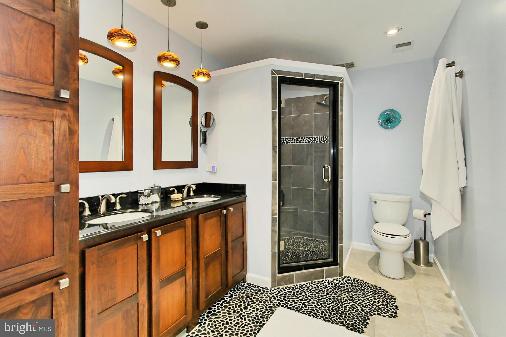 13207 Jasper Road Fairfax, VA 22033 - Photo 7 of 30 Bath (Master)
