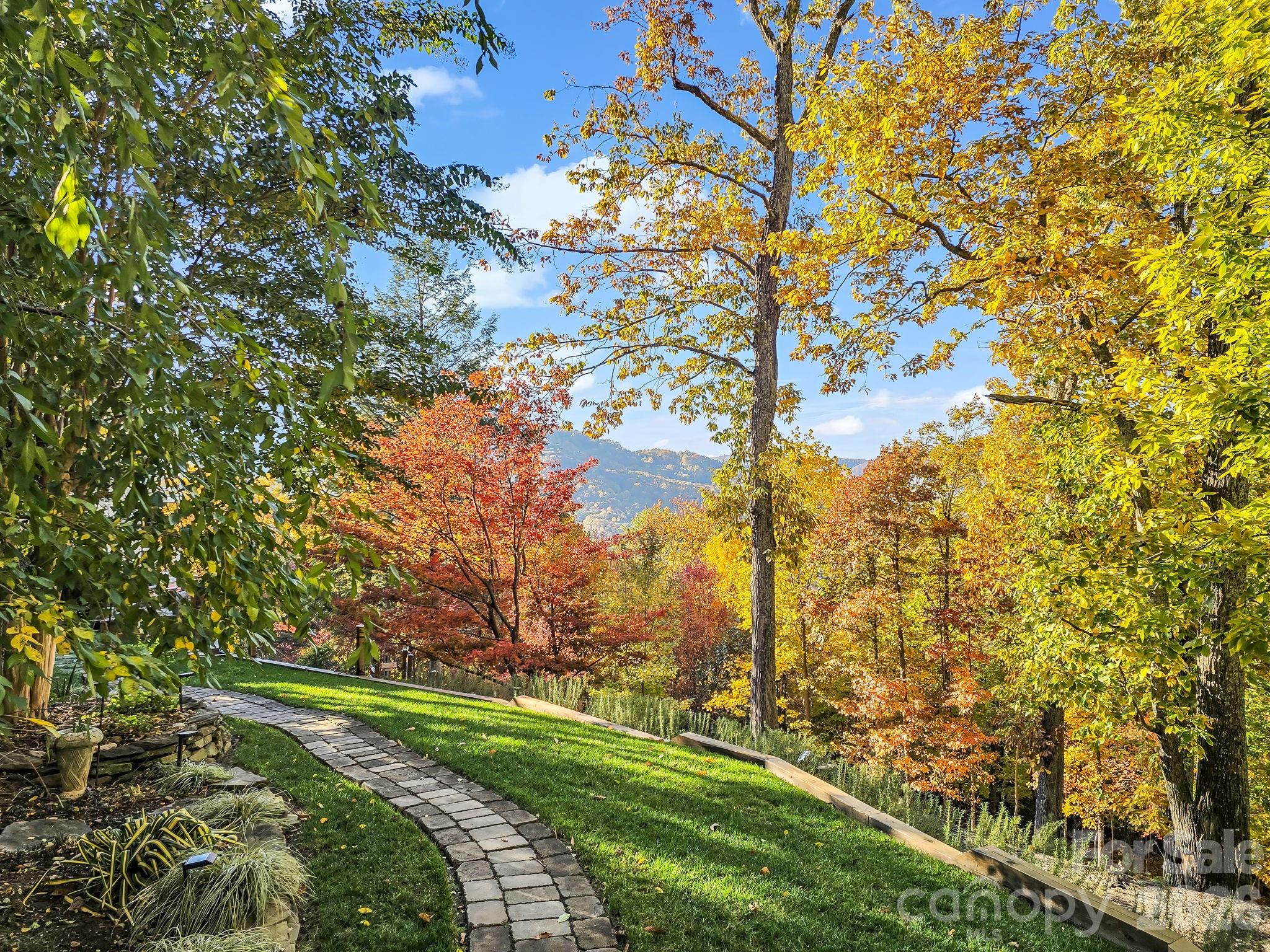 200 Piney Mountain Road Tryon, NC 28782 - Photo 48 of 48 a view of a field with an trees