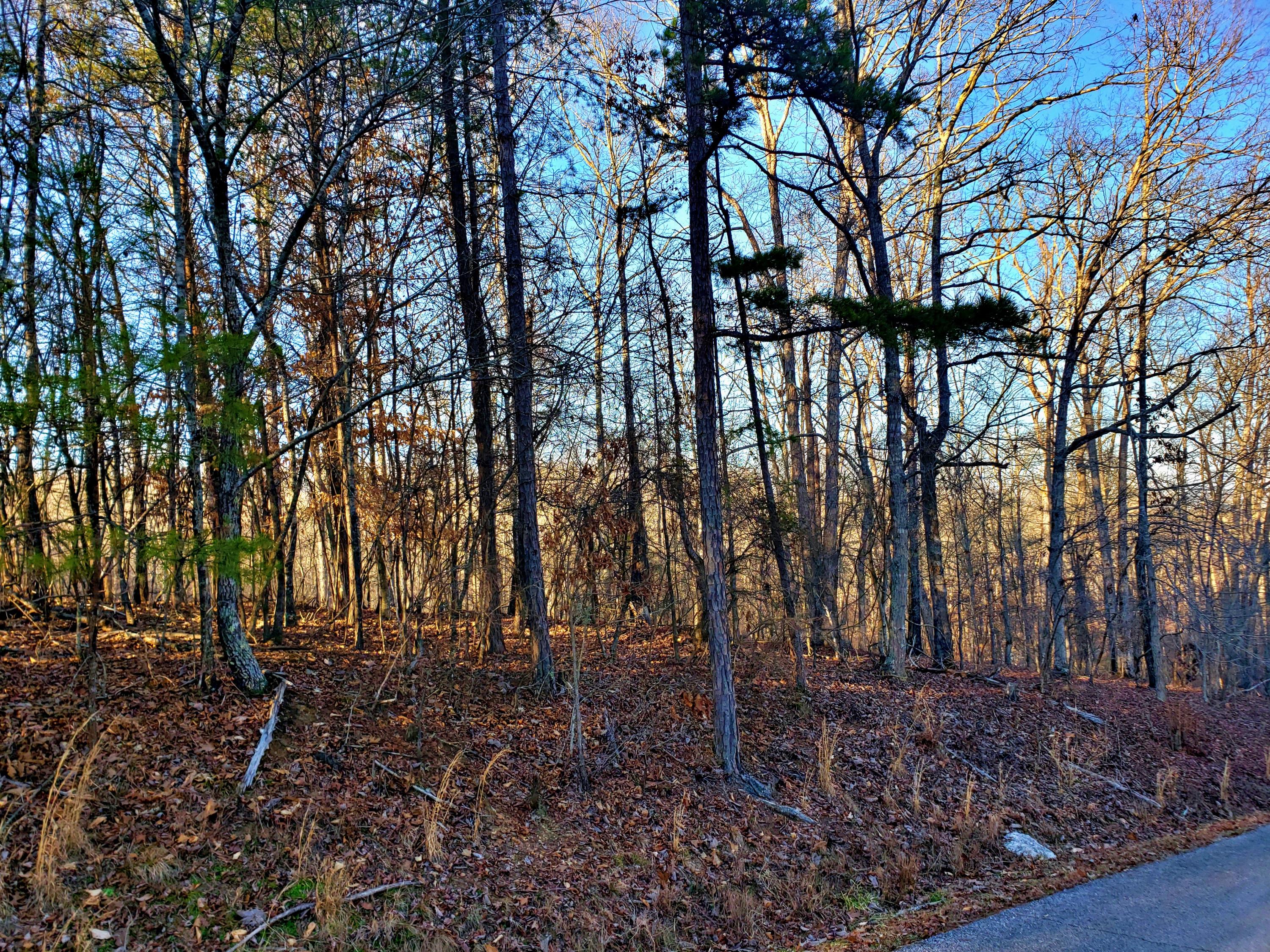 Lot 5 Branham Road Ten Mile, TN 37880 - Photo 3 of 13 20210224_170806