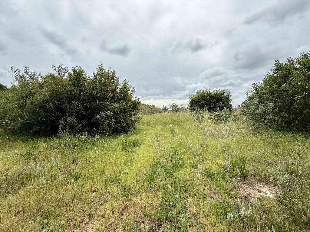 0 Mt Olympus Valley Road Fallbrook, CA 92028 - Photo 33 of 50