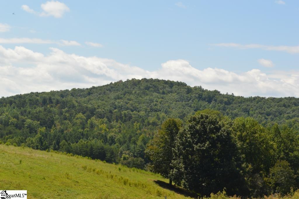 0 Chalmers Mountain Road Walhalla, SC 29691 - Photo 2 of 32 Gallery Image 2