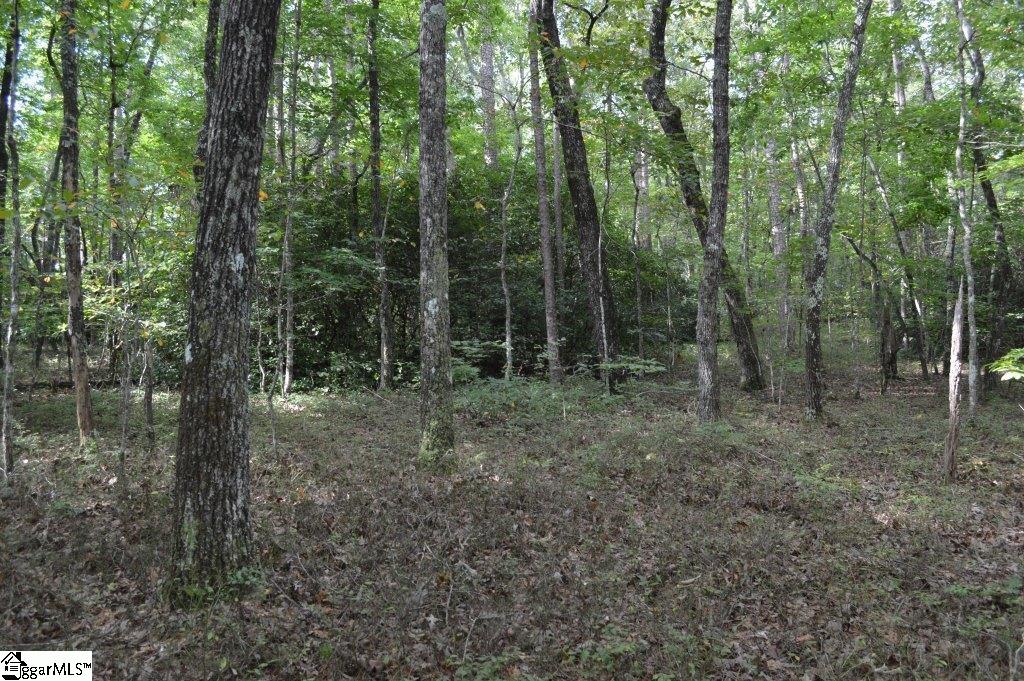 0 Chalmers Mountain Road Walhalla, SC 29691 - Photo 13 of 32 Gallery Image 13