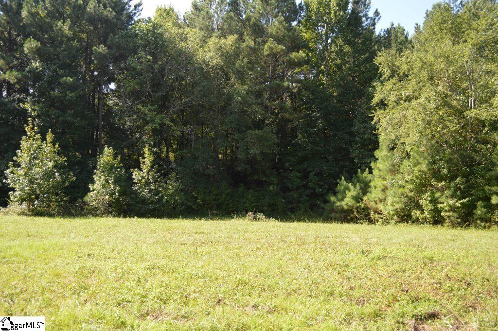 0 Chalmers Mountain Road Walhalla, SC 29691 - Photo 16 of 32 Gallery Image 16