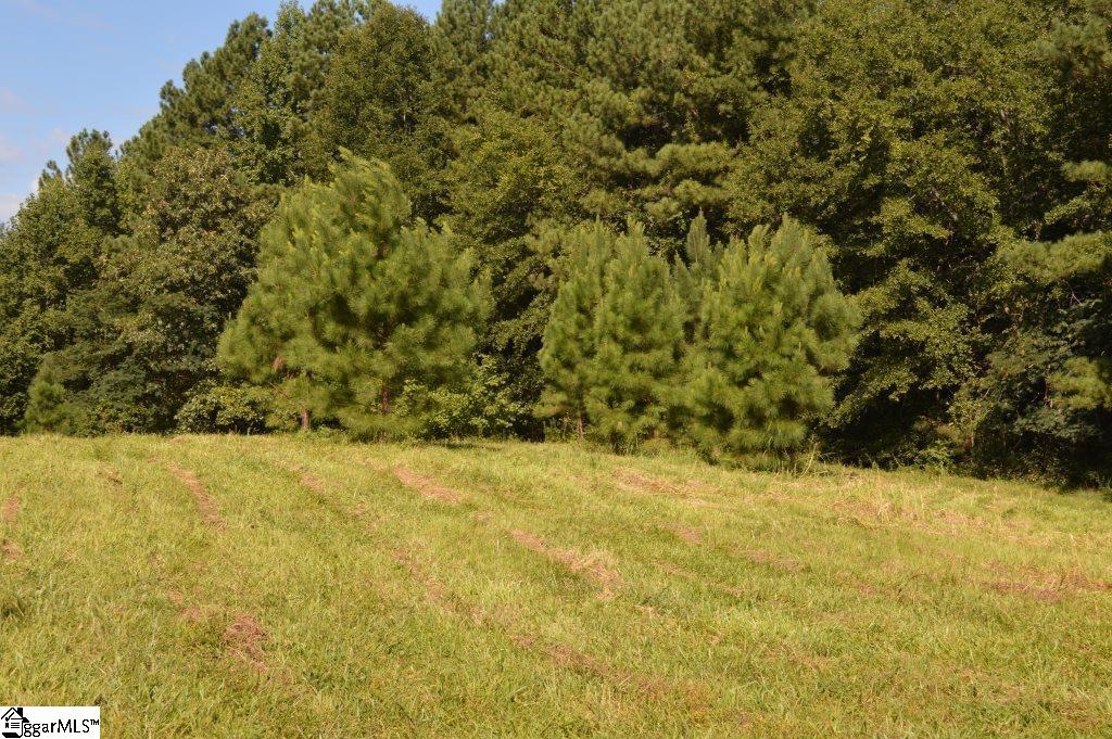 0 Chalmers Mountain Road Walhalla, SC 29691 - Photo 17 of 32 Gallery Image 17
