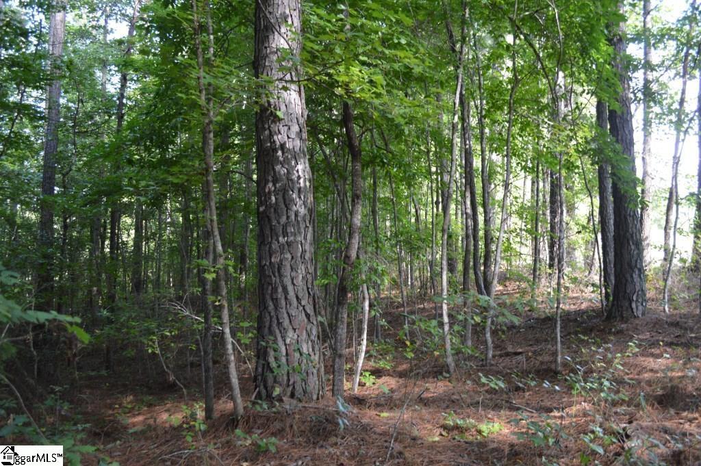 0 Chalmers Mountain Road Walhalla, SC 29691 - Photo 18 of 32 Gallery Image 18