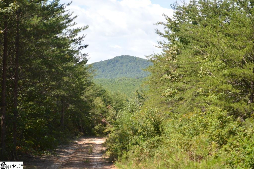 0 Chalmers Mountain Road Walhalla, SC 29691 - Photo 22 of 32 Gallery Image 22