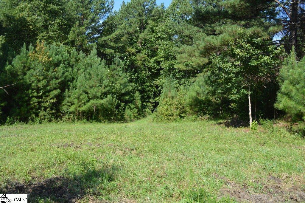 0 Chalmers Mountain Road Walhalla, SC 29691 - Photo 24 of 32 Gallery Image 24