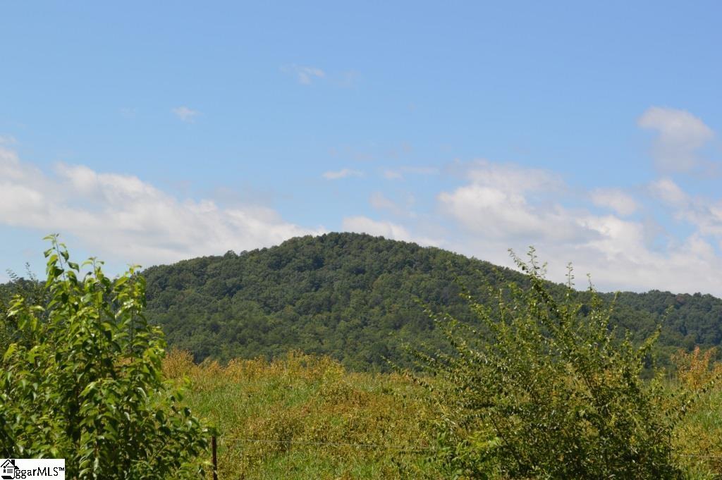 0 Chalmers Mountain Road Walhalla, SC 29691 - Photo 31 of 32 Gallery Image 31