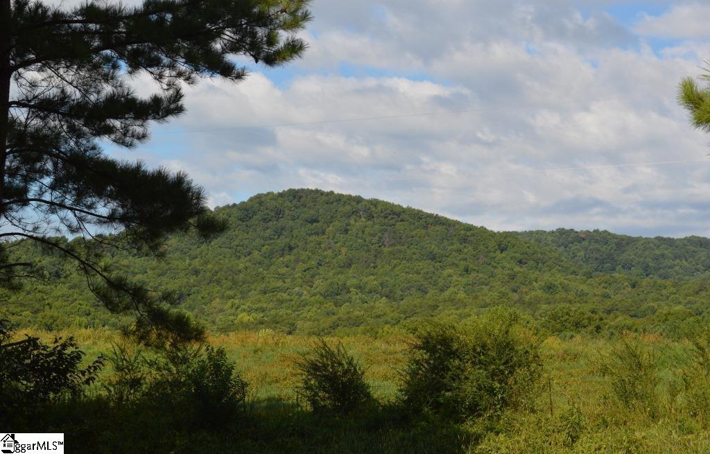 0 Chalmers Mountain Road Walhalla, SC 29691 - Photo 9 of 32 Gallery Image 9