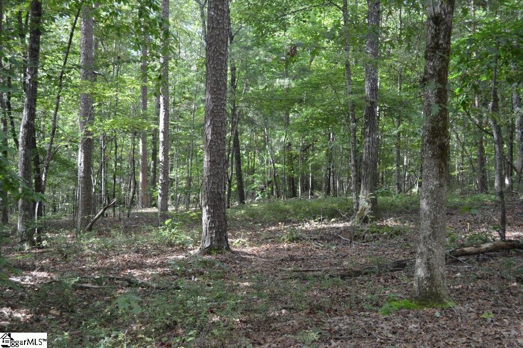0 Chalmers Mountain Road Walhalla, SC 29691 - Photo 10 of 32 Gallery Image 10